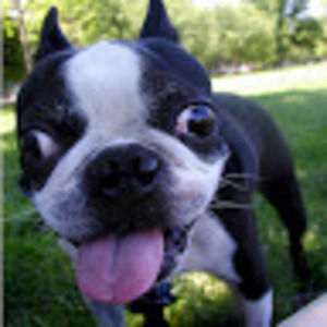 Meet your Posher, Greer